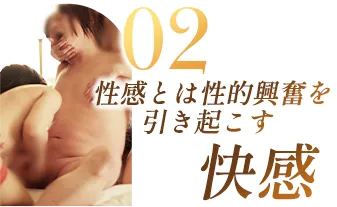 性感とは性的興奮を引き起こす快感